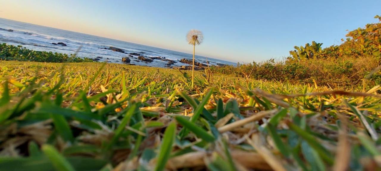 Appartamento Dolphin View 308 Margate Esterno foto